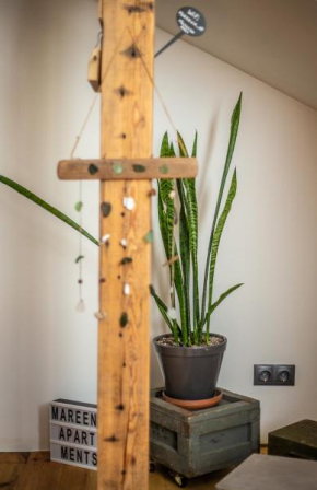 Mareena_apartments